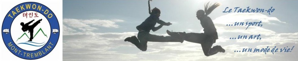 cropped Sunset Flying Kick web2